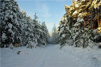 《艾尔登法环》角色创建器隐藏了面部变形 很猎奇