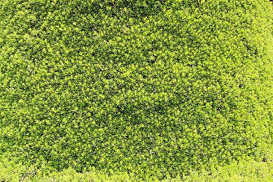 超级人类如何下载安装 出现卡顿延迟怎么办